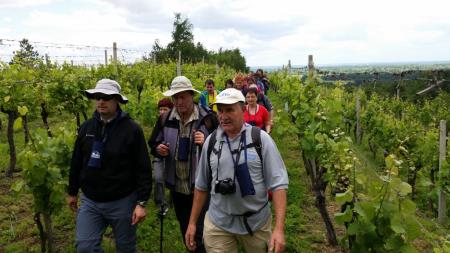 10. pohod Pomlad v prleških goricah 4